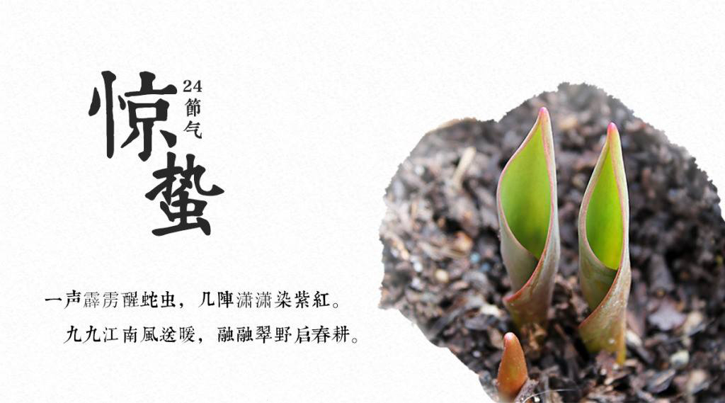 餐飲空間設(shè)計你現(xiàn)在不搞，那要等什么時候搞